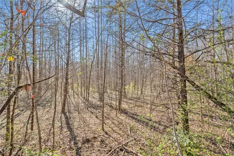 115 Mac Rd, Pickens, SC 29671 photo 24