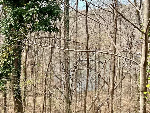 1648 1649 Point Rd, Westminster, SC 29693 photo 3
