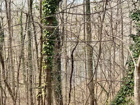1648 1649 Point Rd, Westminster, SC 29693 photo 2