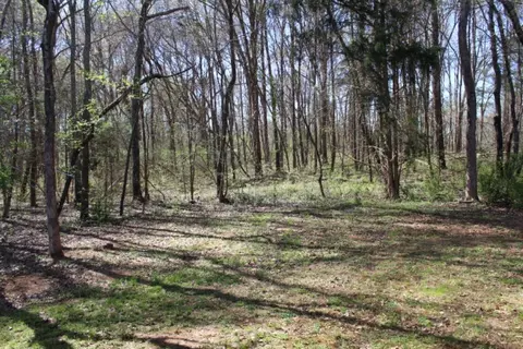 207 Minor St, Williamston, SC 29697 photo 33