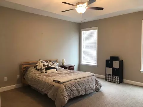 11 Karkinnen Ct, Pendleton, SC 29670 photo 10