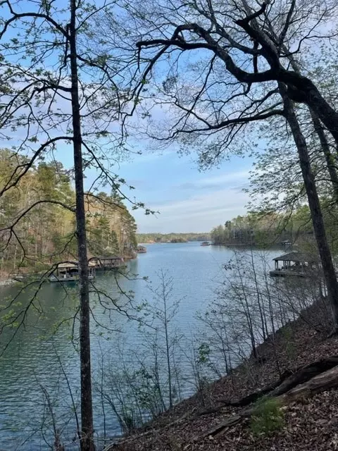 109 E Fort George Way, Sunset, SC 29685 photo 5