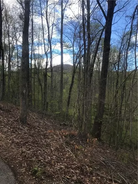 595 Sunset Community Rd, Sunset, SC 29685 photo 2
