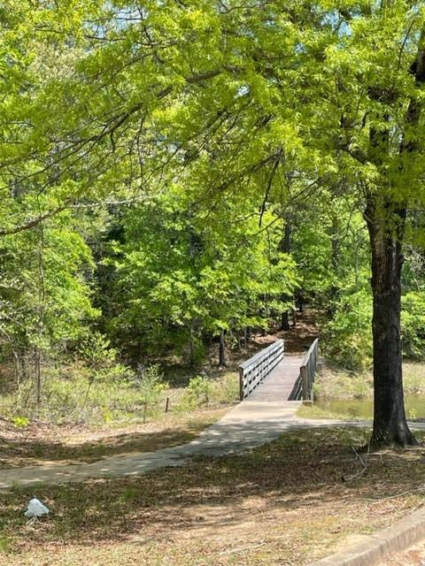 139 Lone Eagle Way, Iva, SC 29655 photo 42