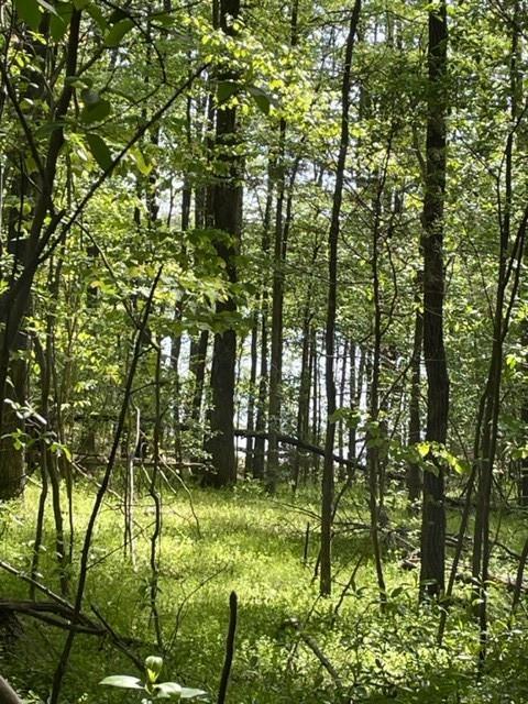 139 Lone Eagle Way, Iva, SC 29655 photo 28