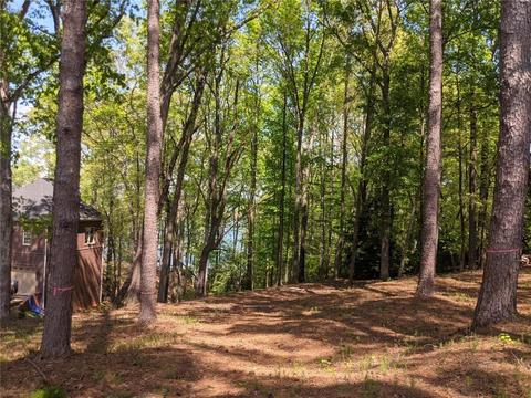 111 Emerald Pointe Dr, Seneca, SC 29672 photo 9
