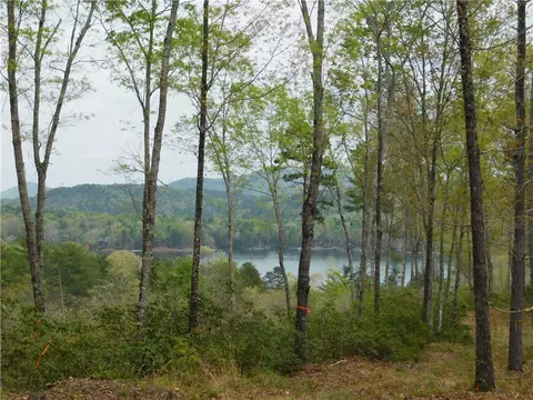 lot1 Old Chapman Bridge Rd, Salem, SC 29676