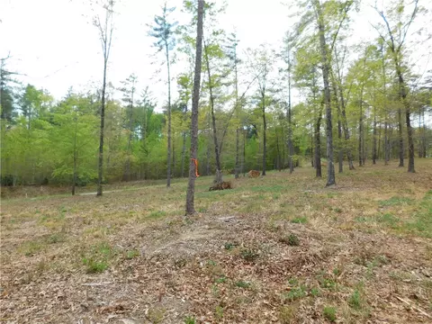 lot3 Old Chapman Bridge Rd, Salem, SC 29676