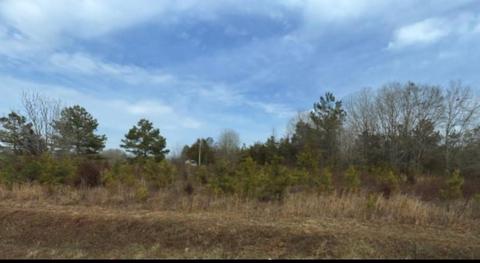 270 Brock Rd, Honea Path, SC 29654 photo 2