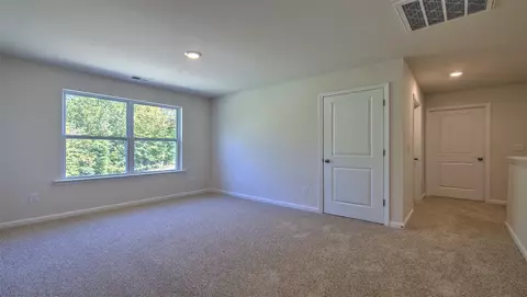 246 Millhone Way, Pendleton, SC 29670 photo 9