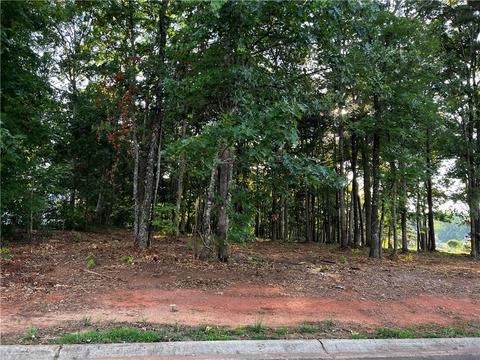 7 Old American Blvd, Pendleton, SC 29670 photo 1