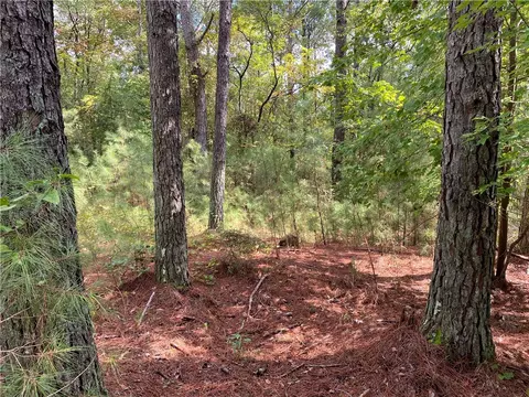 305 Augusta Way, Sunset, SC 29685 photo 5