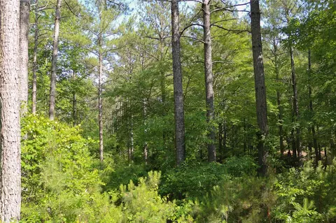 113 Augusta Way, Sunset, SC 29685 photo 1