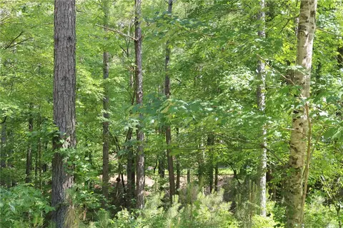 113 Augusta Way, Sunset, SC 29685 photo 4