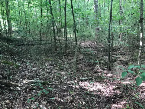 131 Bear Track Dr, Seneca, SC 29678 photo 9