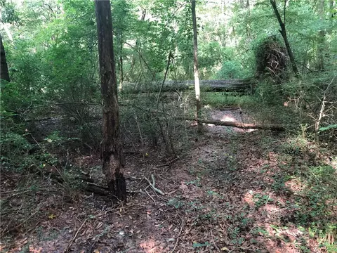 131 Bear Track Dr, Seneca, SC 29678 photo 6