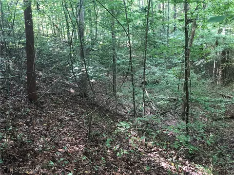 131 Bear Track Dr, Seneca, SC 29678 photo 5