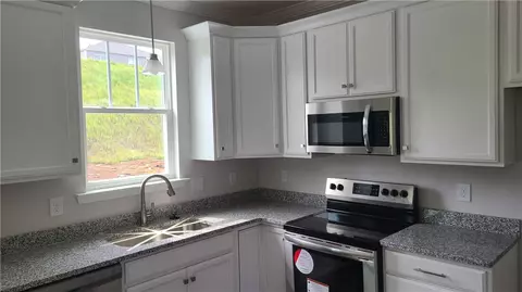 166 Capslock Trl #HINGTON PLAN, Pendleton, SC 29670 photo 3