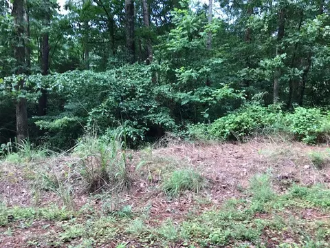 211 Stratford Rd, Pendleton, SC 29670 photo 2