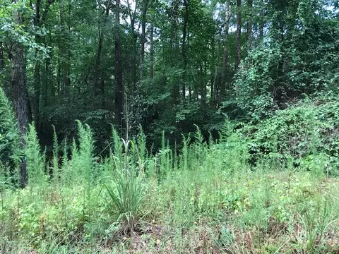 211 Stratford Rd, Pendleton, SC 29670 photo 1