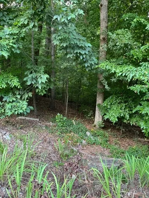 871 Nicklaus Dr # -2, Westminster, SC 29693 photo 7