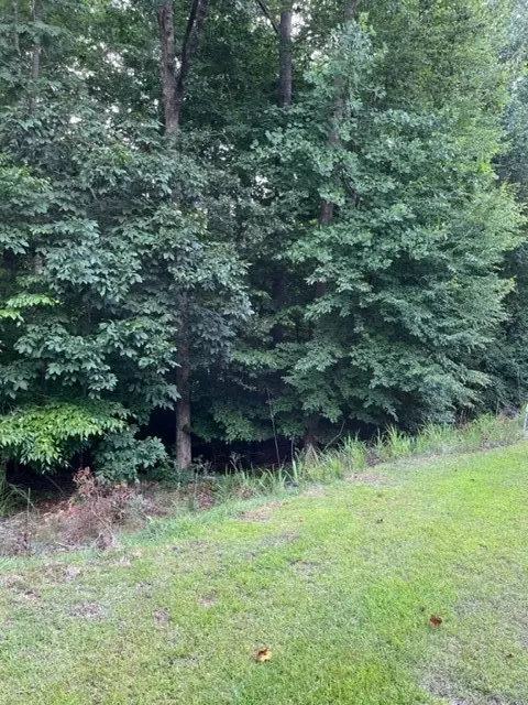 871 Nicklaus Dr # -2, Westminster, SC 29693 photo 9
