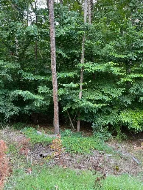 871 Nicklaus Dr # -2, Westminster, SC 29693 photo 8