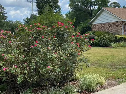 202 Magnolia Ter, Pendleton, SC 29670 photo 20