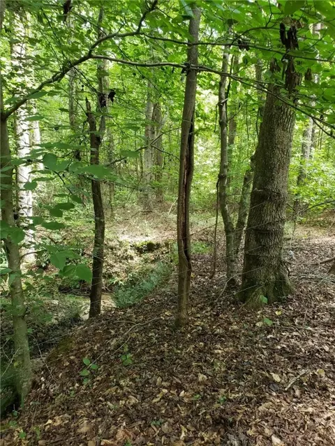 856 Tornado Rd, Honea Path, SC 29654 photo 36