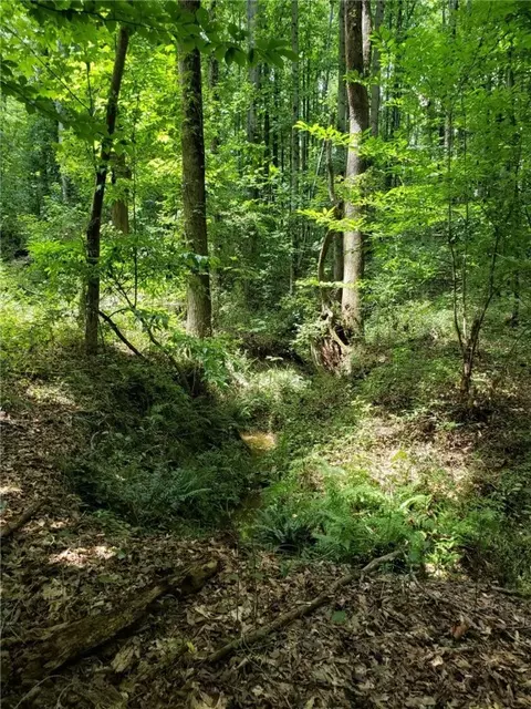 856 Tornado Rd, Honea Path, SC 29654 photo 39
