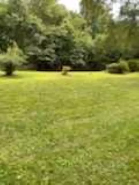 687 Scotland Rd, Easley, SC 29640 photo 12