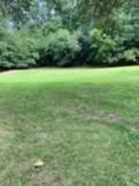 687 Scotland Rd, Easley, SC 29640 photo 13