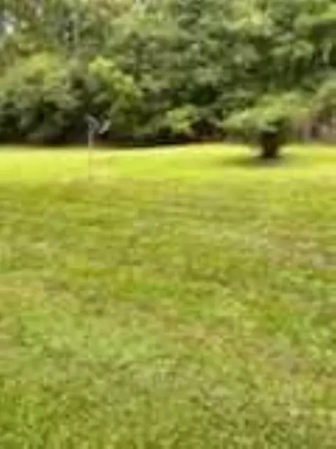 687 Scotland Rd, Easley, SC 29640 photo 14
