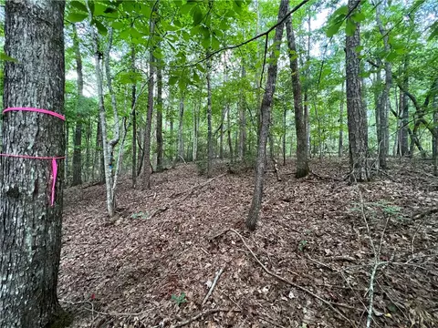 lot30 Sourwood Bench Ct, Salem, SC 29676