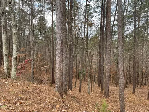 804 Bright Leaf Ct, Seneca, SC 29672 photo 13