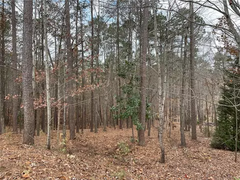 804 Bright Leaf Ct, Seneca, SC 29672 photo 14