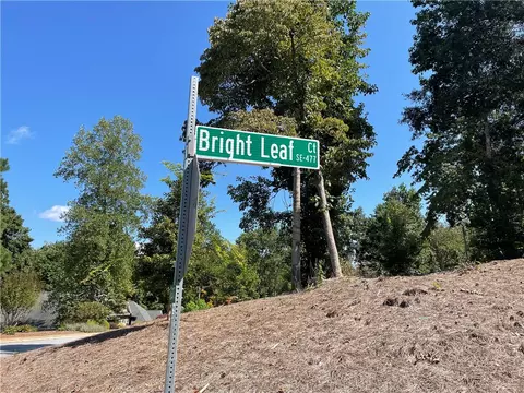 804 Bright Leaf Ct, Seneca, SC 29672 photo 25