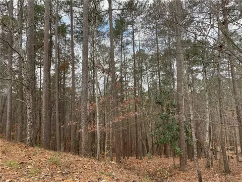 804 Bright Leaf Ct, Seneca, SC 29672 photo 15