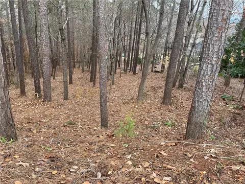 804 Bright Leaf Ct, Seneca, SC 29672 photo 11