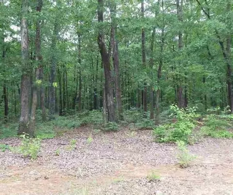 117 Constitution Ave, Pendleton, SC 29670 photo 3