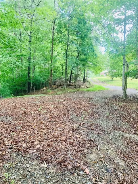 118 Johnson Dr, Sunset, SC 29685 photo 3