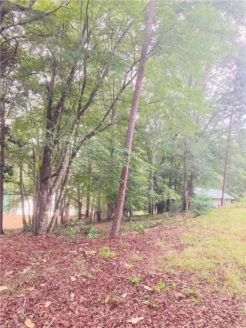 118 Johnson Dr, Sunset, SC 29685 photo 22