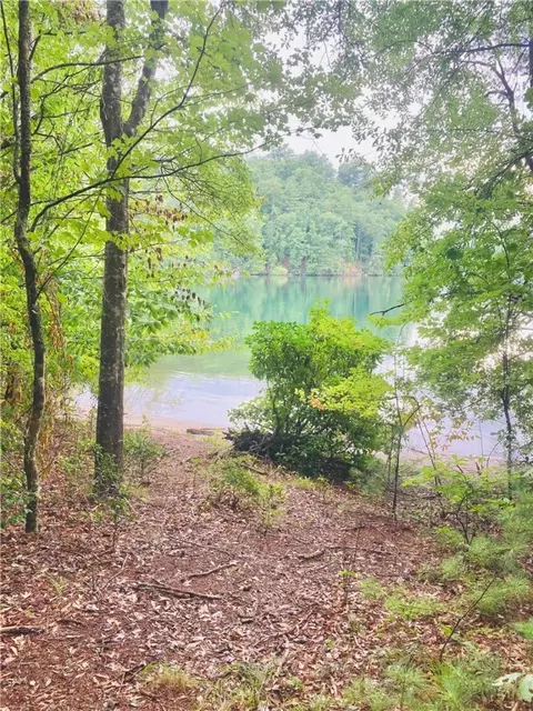 118 Johnson Dr, Sunset, SC 29685 photo 7