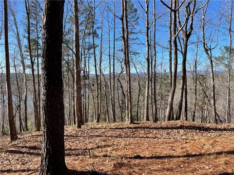 711 Top Ridge Dr, Sunset, SC 29685 photo 8