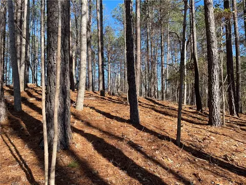 711 Top Ridge Dr, Sunset, SC 29685 photo 5