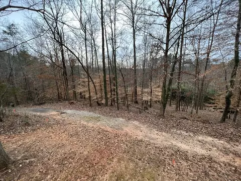 14060 E Camelia Ln, Seneca, SC 29678 photo 30