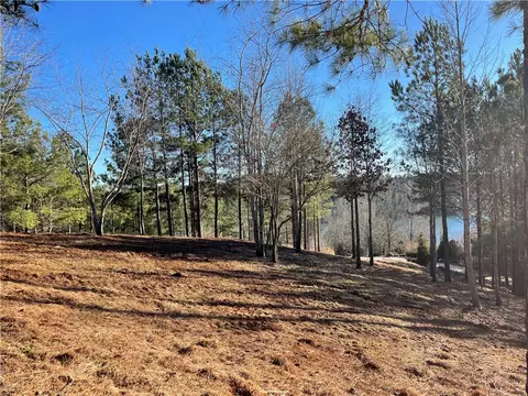 218 Long Ridge Rd, Sunset, SC 29685 photo 4