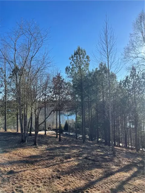 218 Long Ridge Rd, Sunset, SC 29685 photo 6