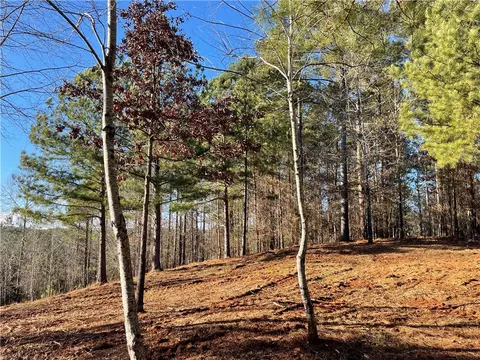 218 Long Ridge Rd, Sunset, SC 29685 photo 8
