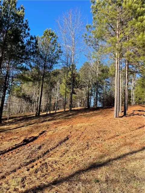 218 Long Ridge Rd, Sunset, SC 29685 photo 3